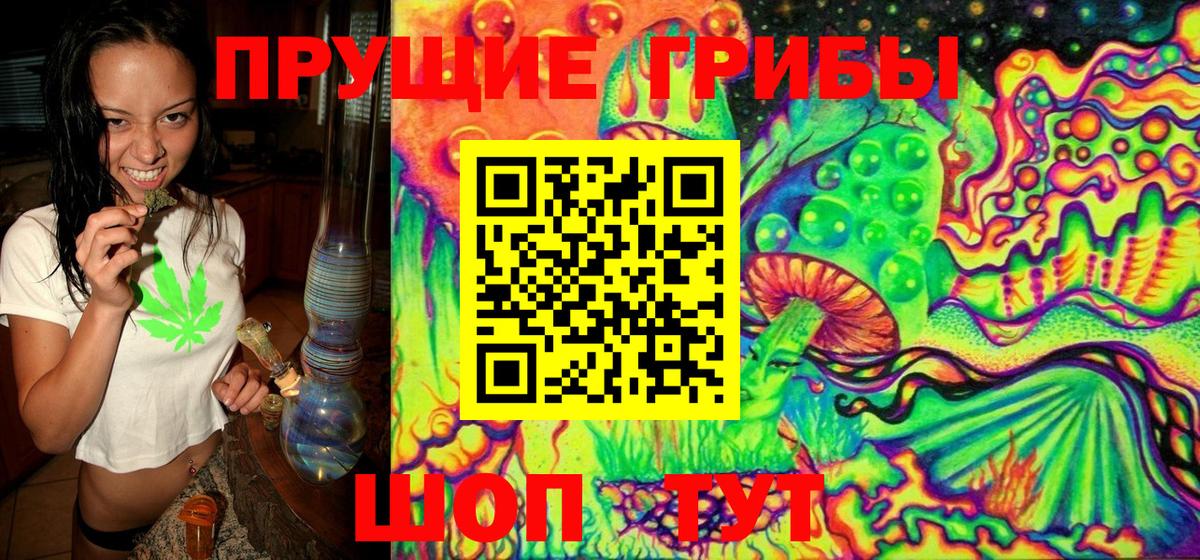 Псилоцибиновые грибы Cubensis Мичуринск